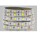 DC12V / DC24V 60LEDs / M 2835 Faixa flexível do diodo emissor de luz